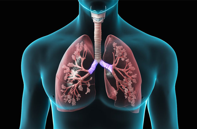 lungs_1